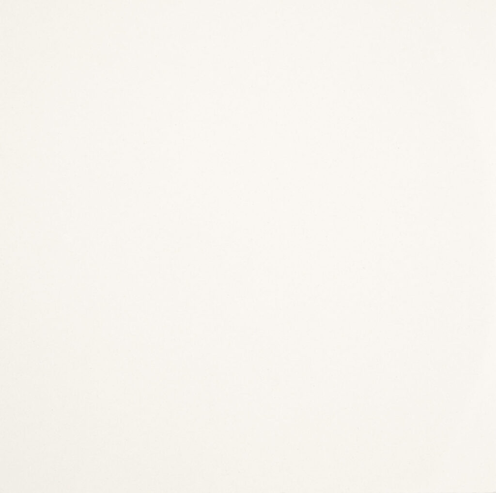 SUPERBIANCO-SNV-1024x1017-1
